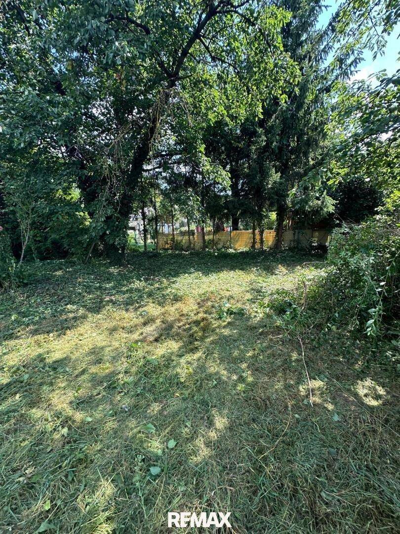 Ruhige Gartenparzelle umgeben von dichtem Baumbestand, ideal für Erholung und Naturgenuss.