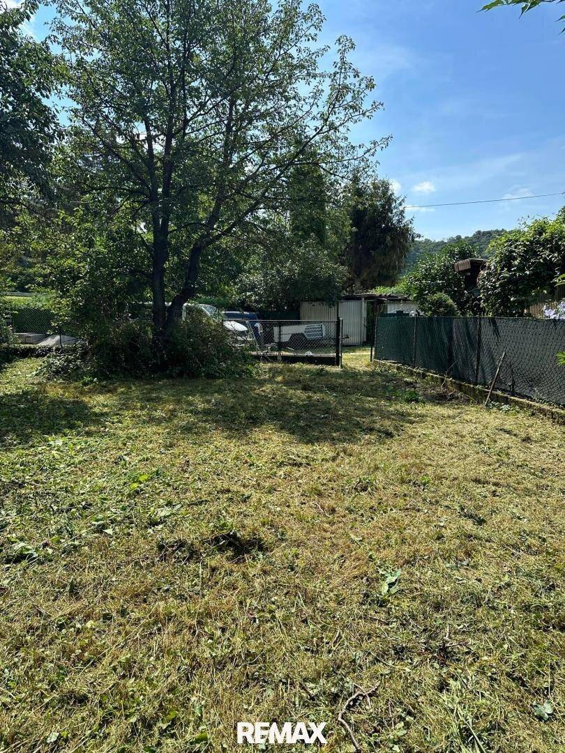Weitläufige Gartenfläche mit altem Baumbestand und Blick auf angrenzende Nebengebäude.