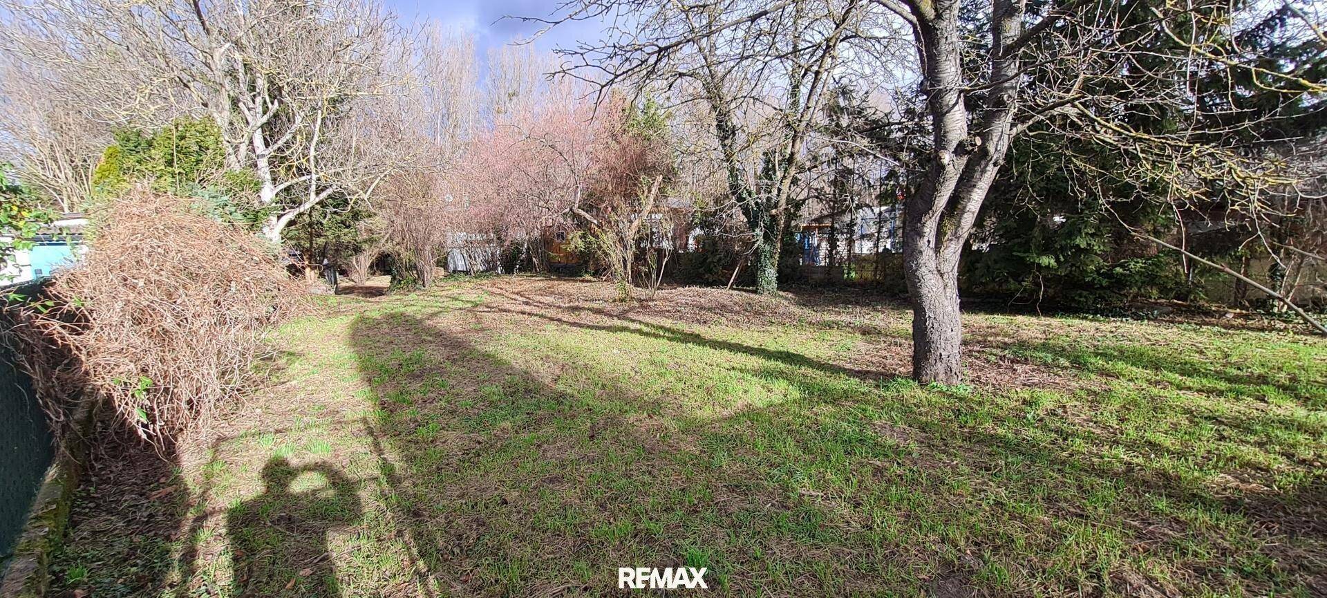 Weitläufige Gartenfläche mit altem Baumbestand und natürlicher Vegetation im Winterzustand.