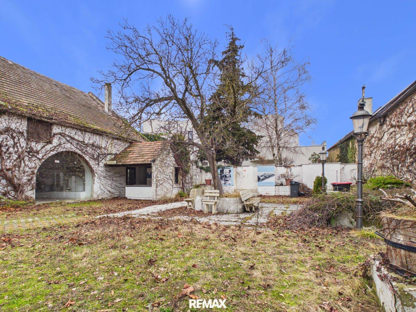 Innenhof mit einem großen Baum, Sitzbänken und historischen Gebäuden, umgeben von Grünflächen.