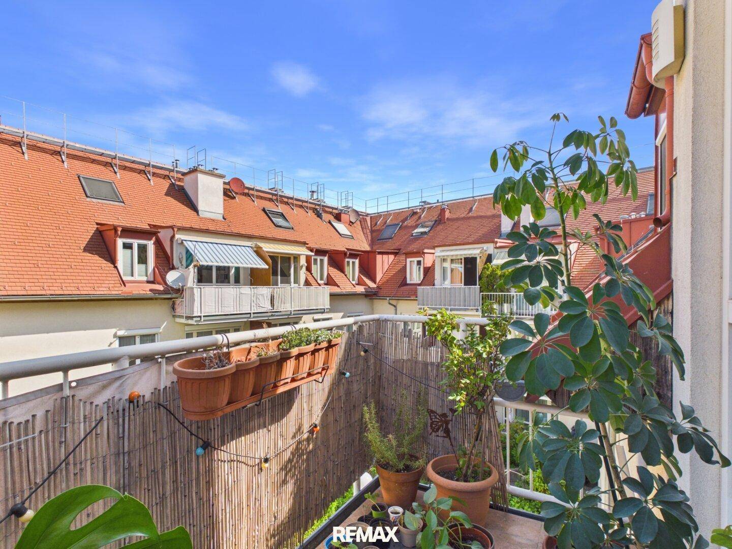 Sonniger Balkon mit vielen Pflanzen und Blick auf die umliegenden Dächer und Fassaden.