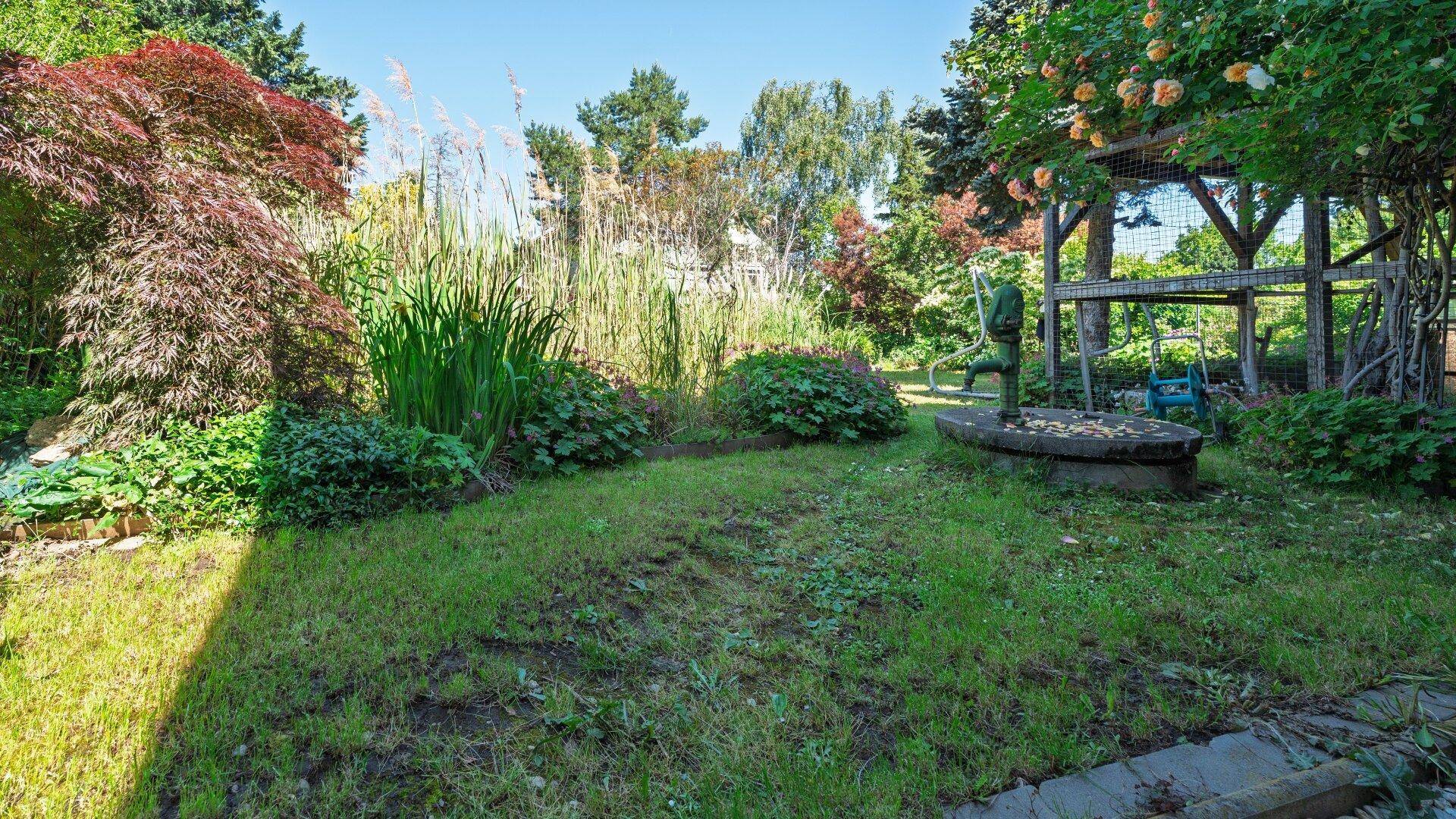 Grüner Rasenbereich im Garten mit einer alten Wasserpumpe und üppiger Bepflanzung.
