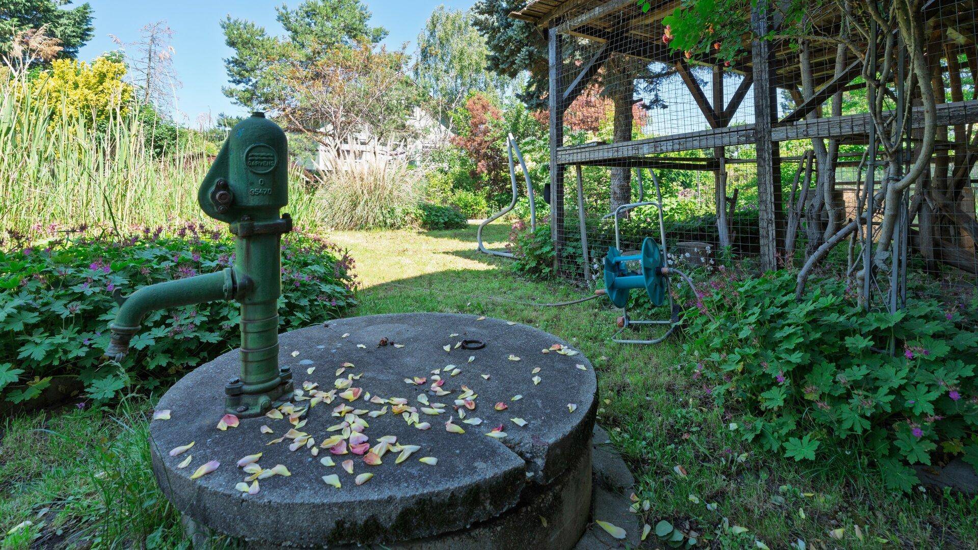 Detailansicht einer historischen Wasserpumpe auf einem Steinsockel im blühenden Garten.