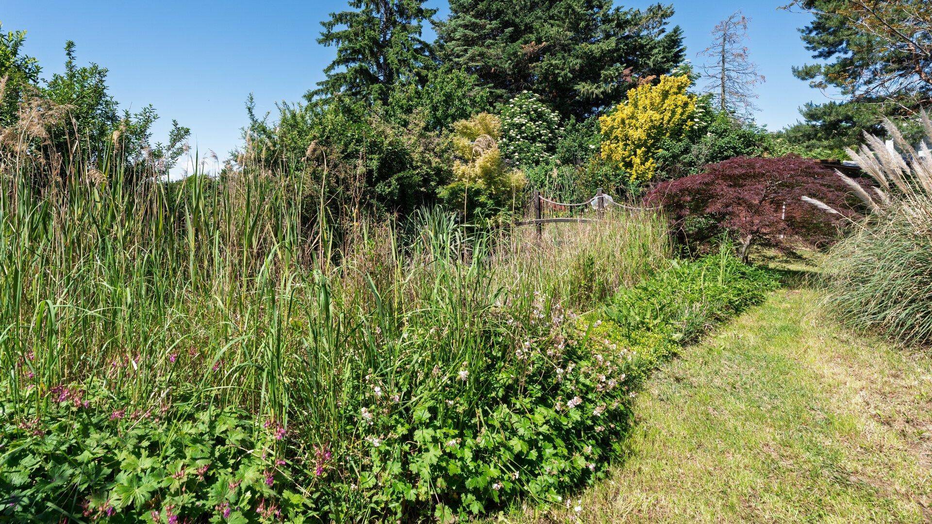 Gartenweg durch hohe Gräser und Blumenbeete, umgeben von vielfältiger Vegetation.