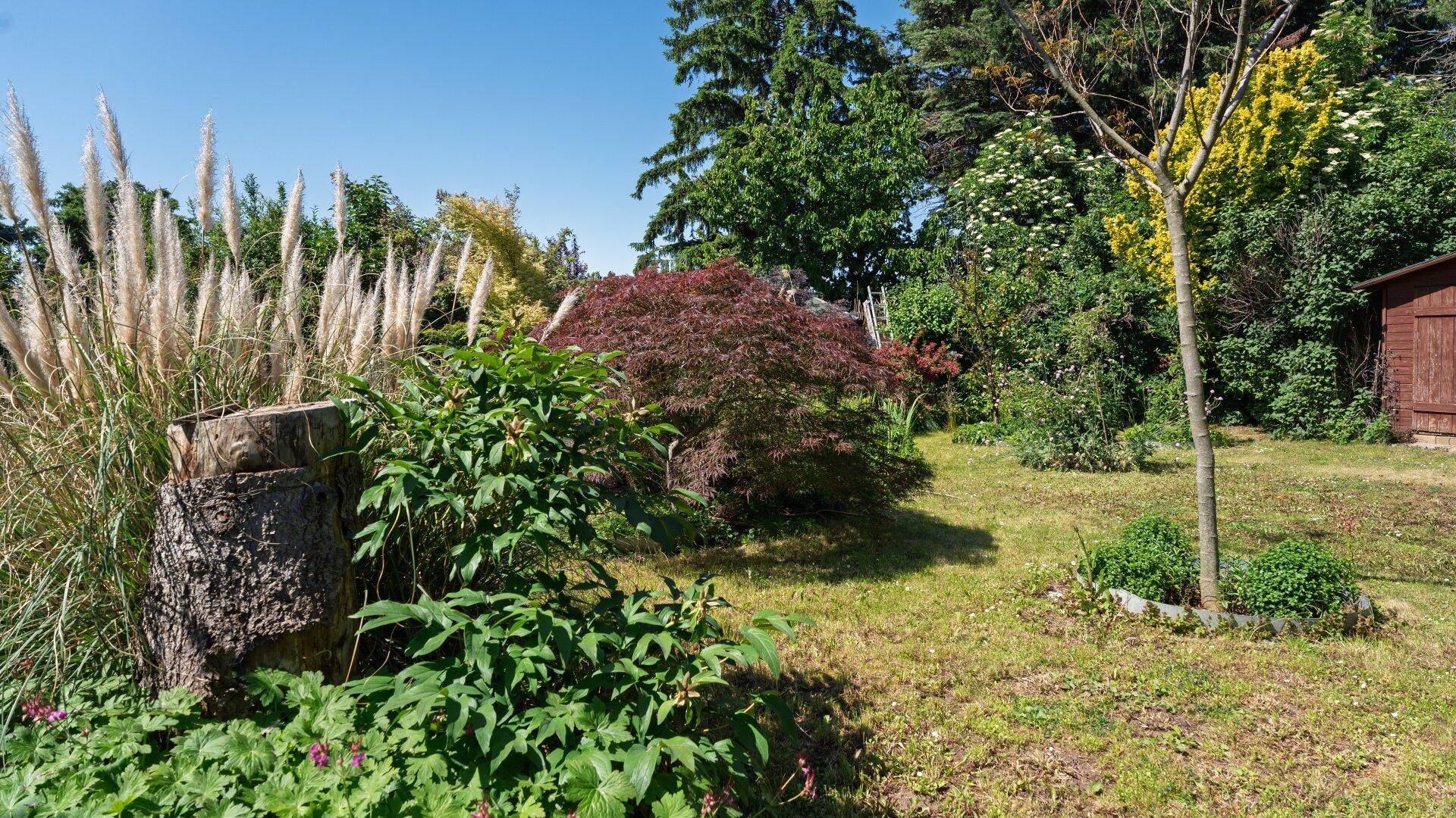 Gepflegter Rasenbereich im Garten mit verschiedenen Bäumen, Sträuchern und einem kleinen Schuppen.