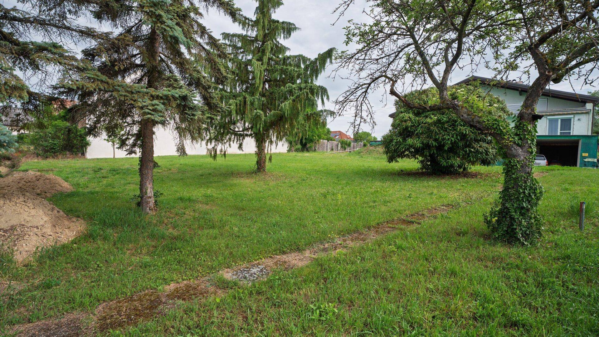 Naturbelassener Garten mit verschiedenen Bäumen und einer weiten Rasenfläche, im Hintergrund ein Gebäude.