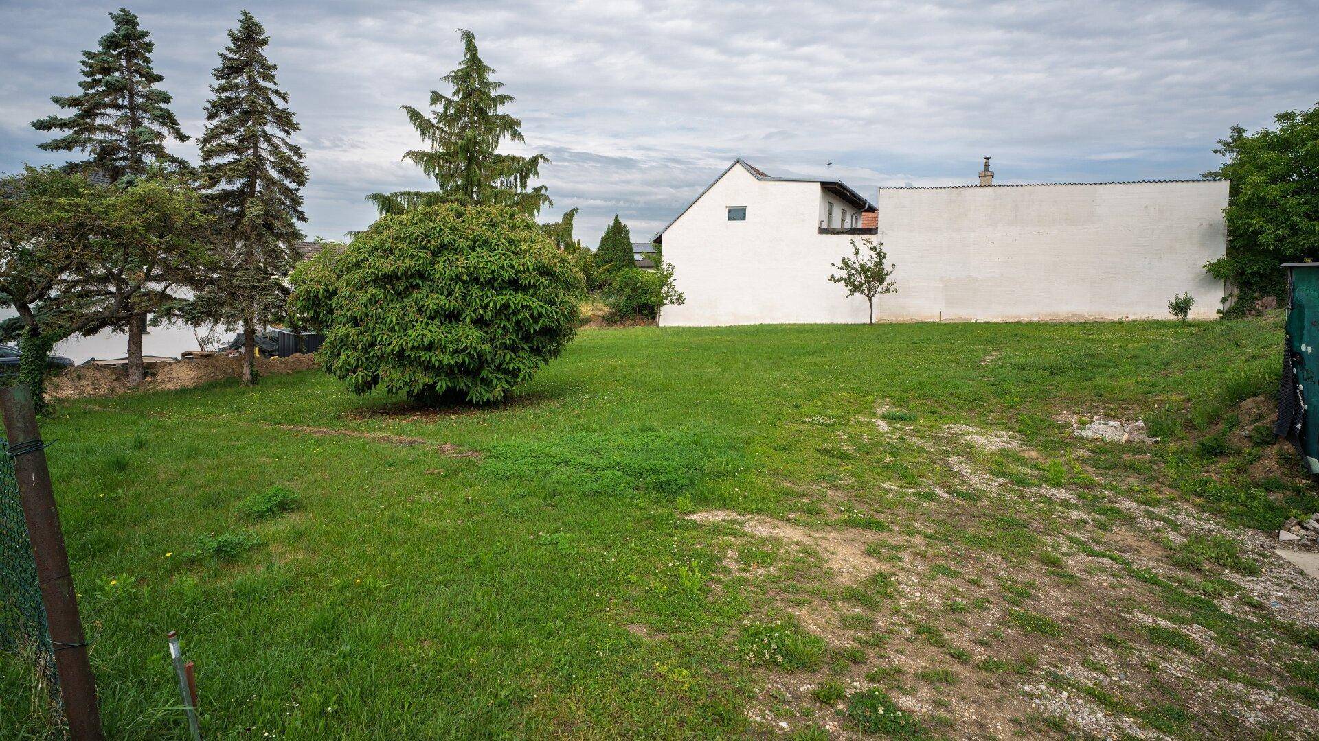 Offener Gartenbereich mit viel Grün, einem großen Strauch und einem weißen Haus in der Ferne.