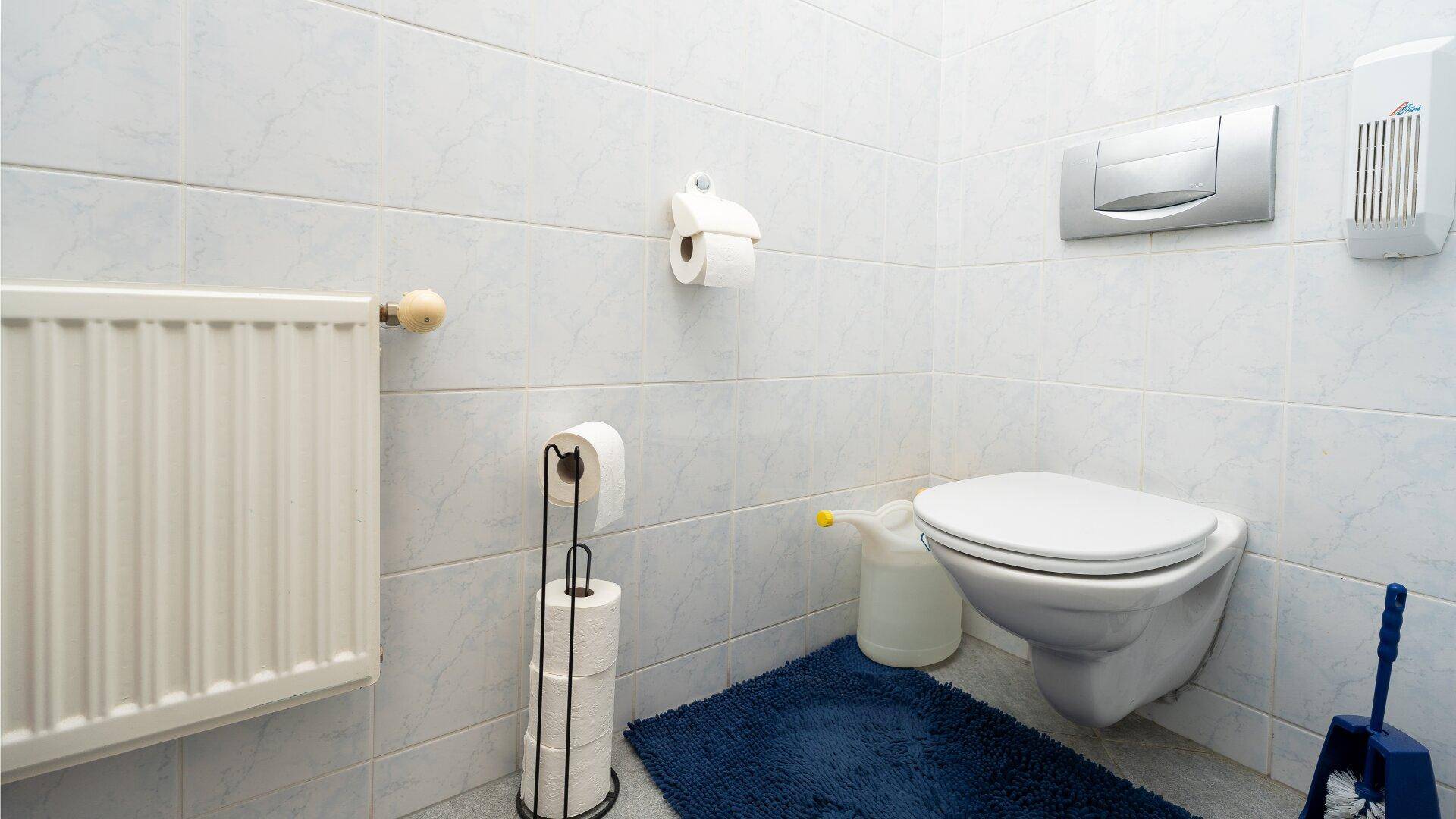 Haus 1 Wohnung WC