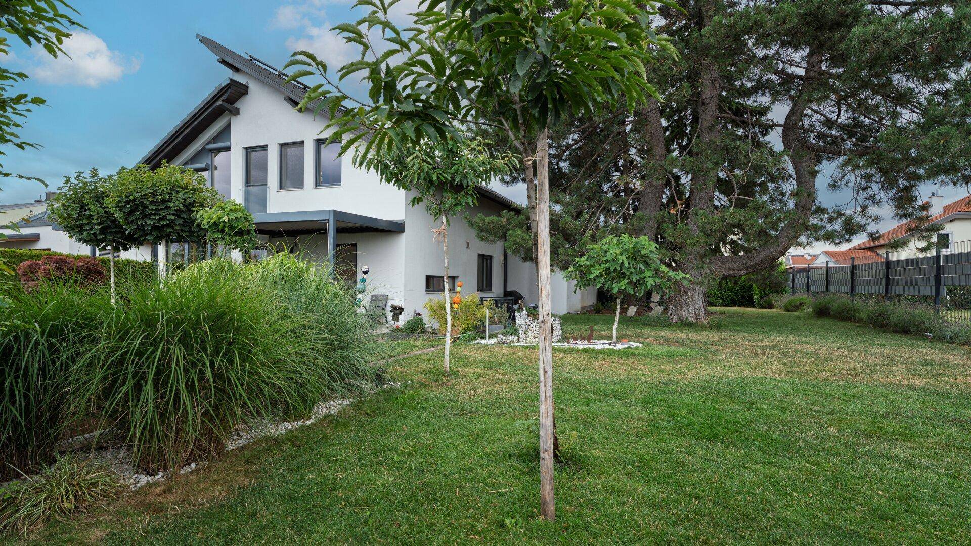 Garten - Rückseite Haus