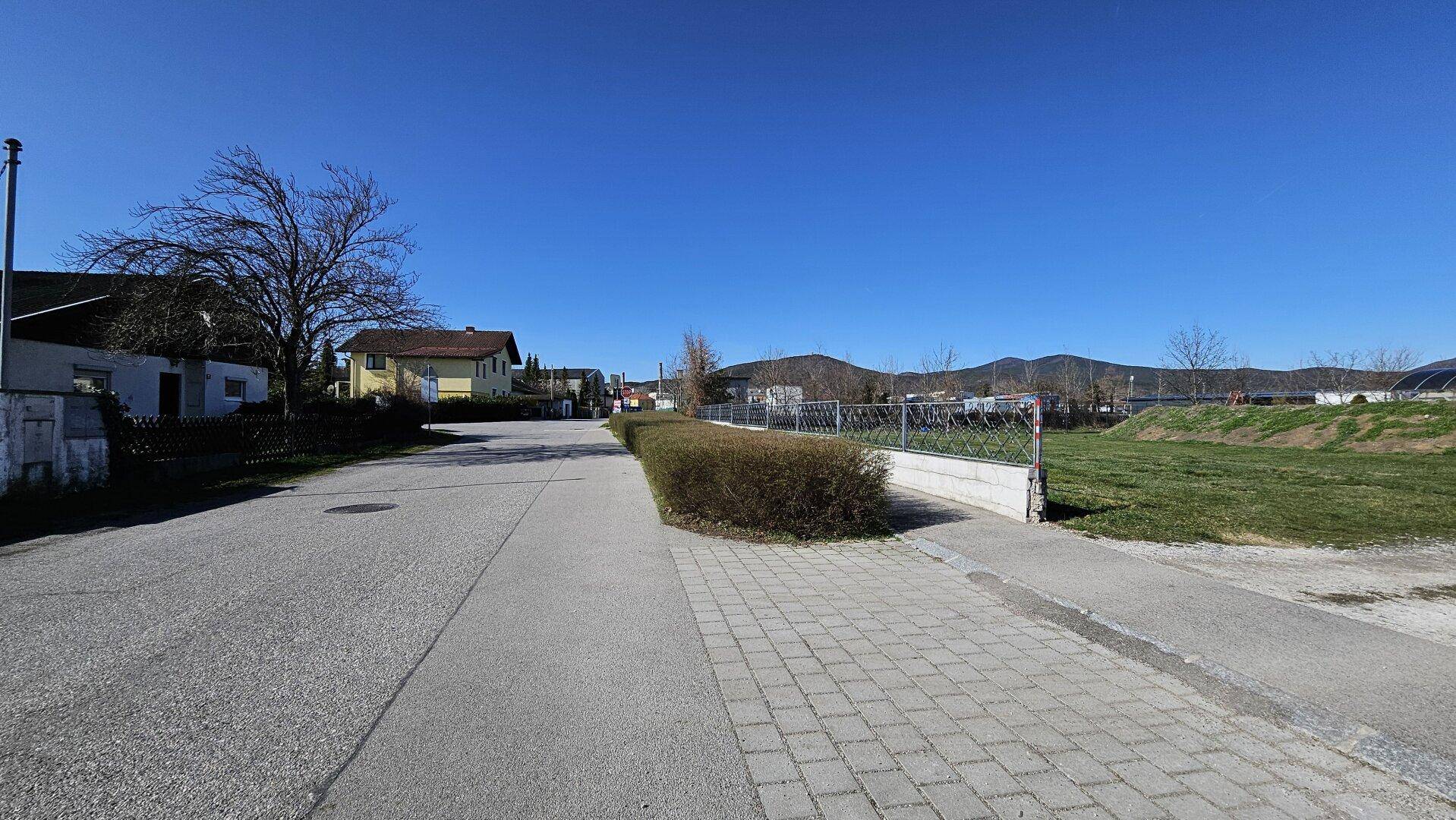 Ruhige Wohnstraße mit Bürgersteig, Hecke und Blick auf die umliegende Natur.