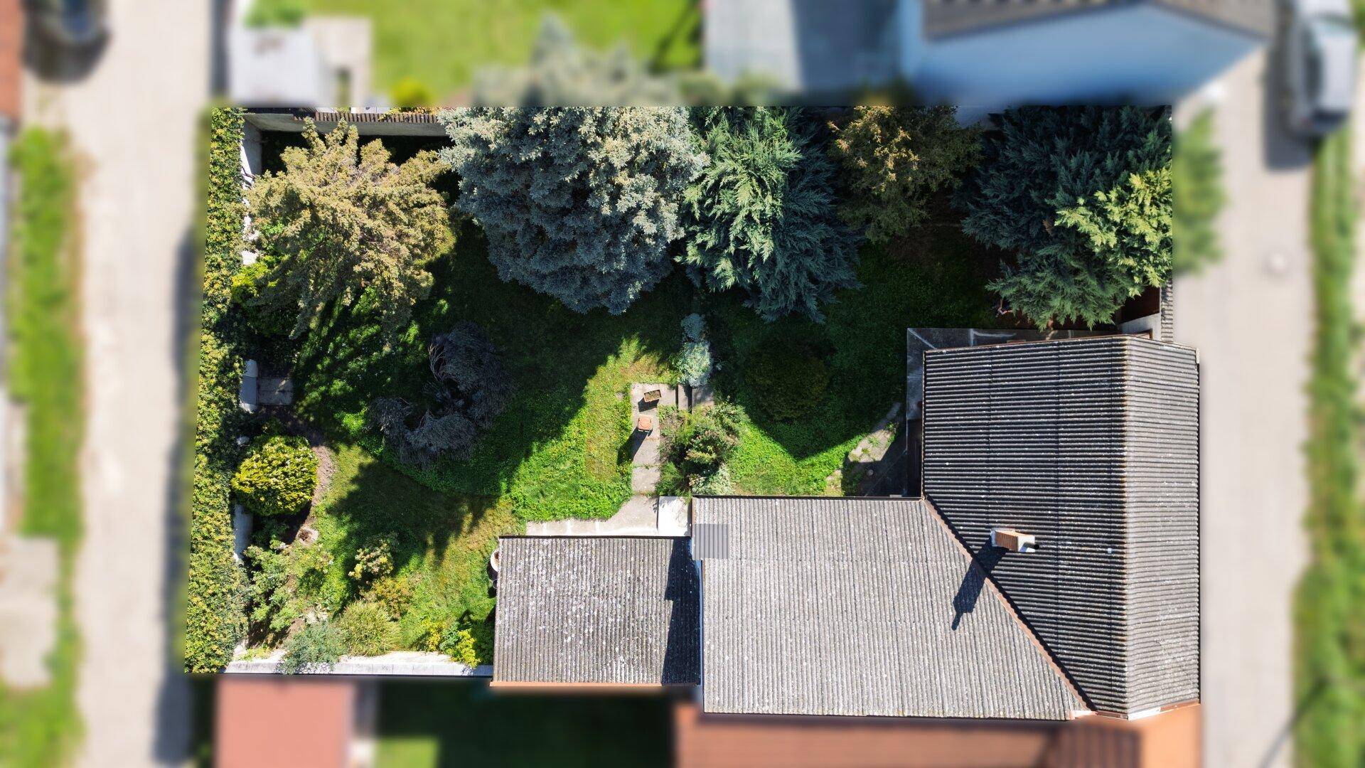 Vogelperspektive des grünen Gartens mit Bäumen und Sträuchern hinter dem Haus.
