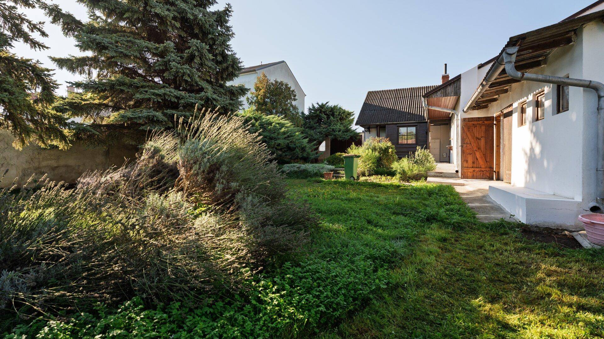 Gepflegter Gartenbereich mit üppiger Bepflanzung und altem Baumbestand hinter dem Haus.