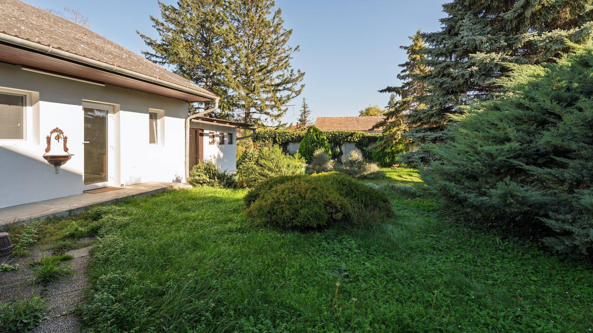 Sonniger Garten mit Rasenfläche, Sträuchern und einem kleinen Wandbrunnen an der Hauswand.