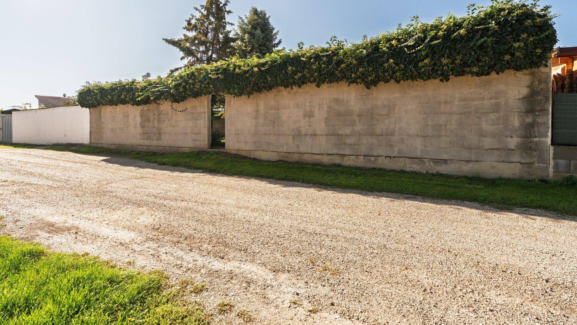 Lange Mauer mit üppiger Begrünung als Grundstücksgrenze unter blauem Himmel.
