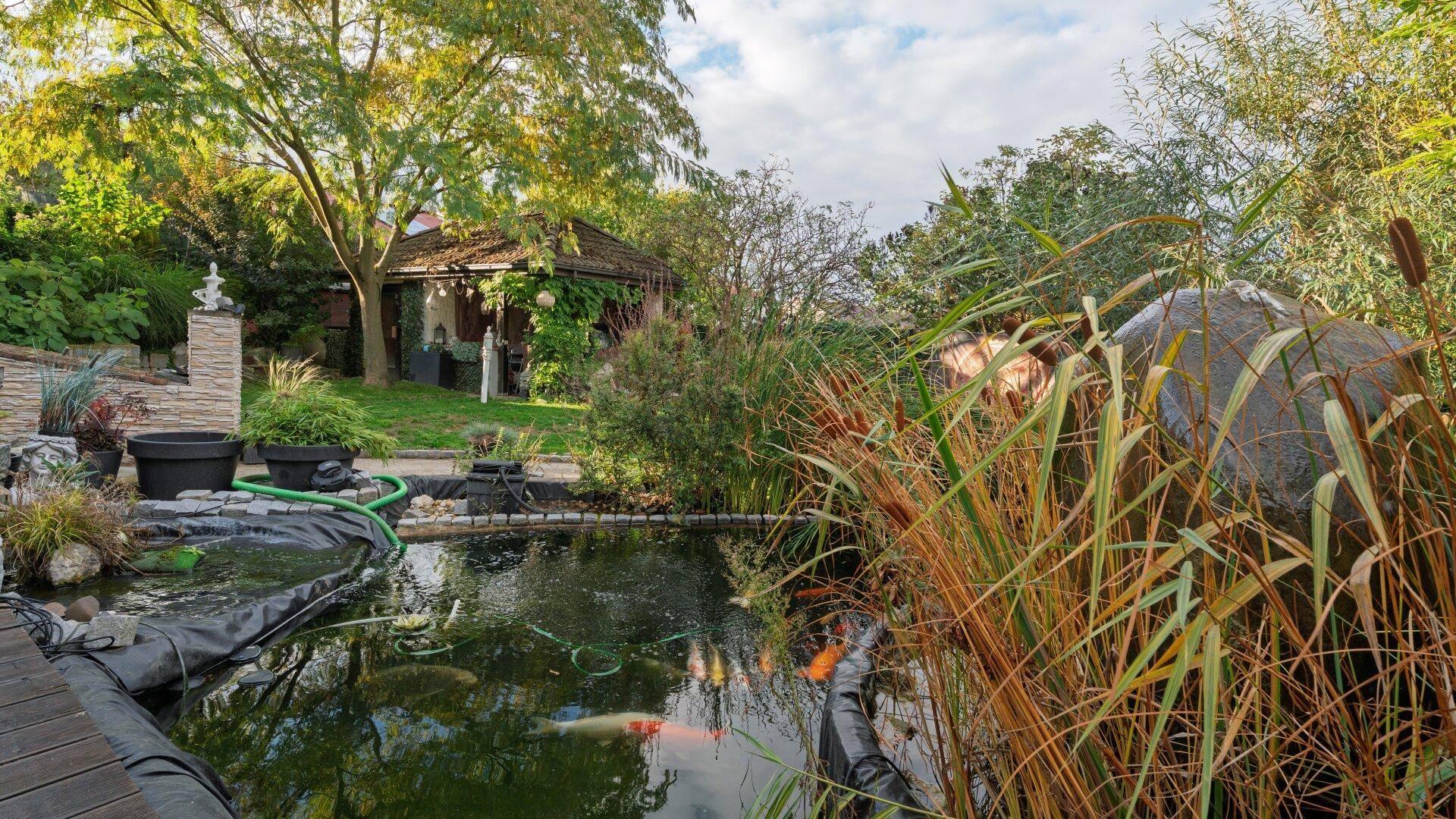 Koiteich im Hintergrund Saunabereich und Whirlpool