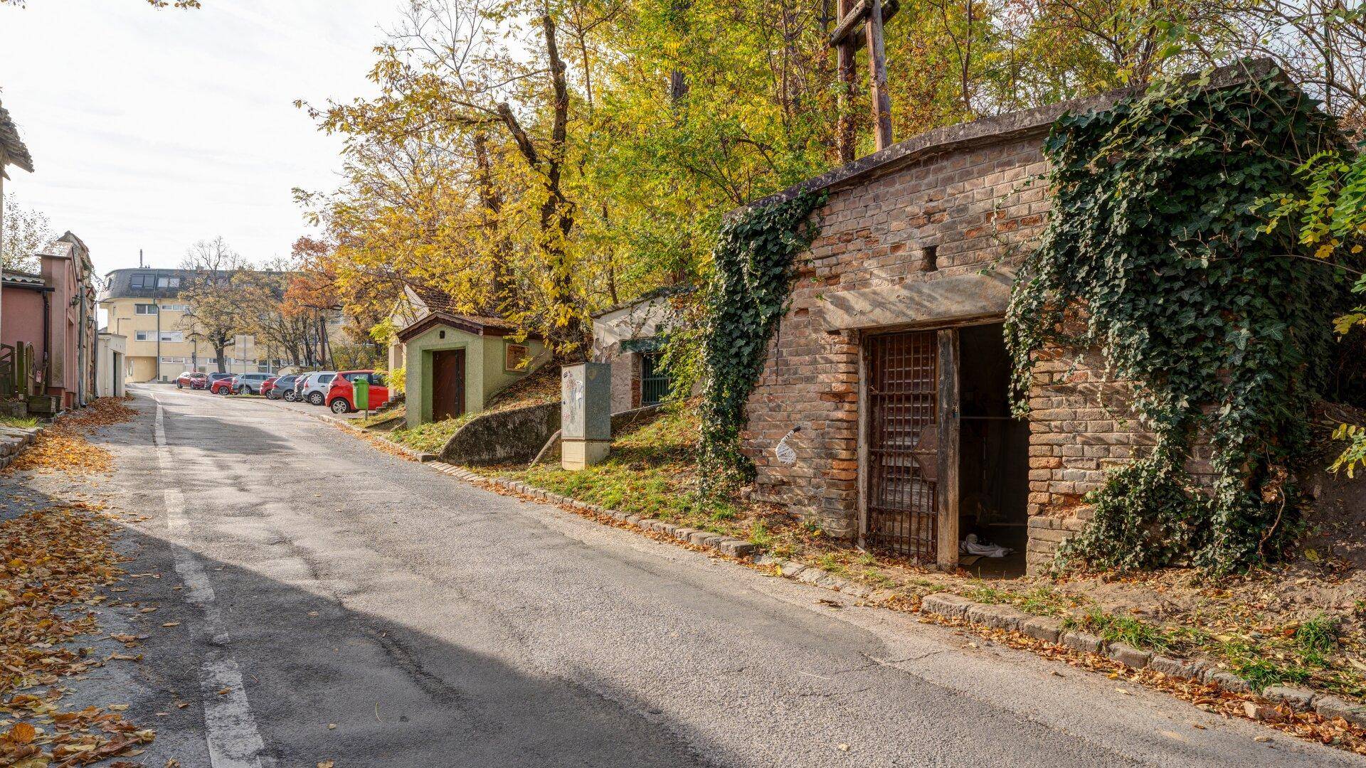 Blick auf das alte Ziegelgebäude mit Efeu an einer Straße, umgeben von Herbstbäumen und weiteren Gebäuden.