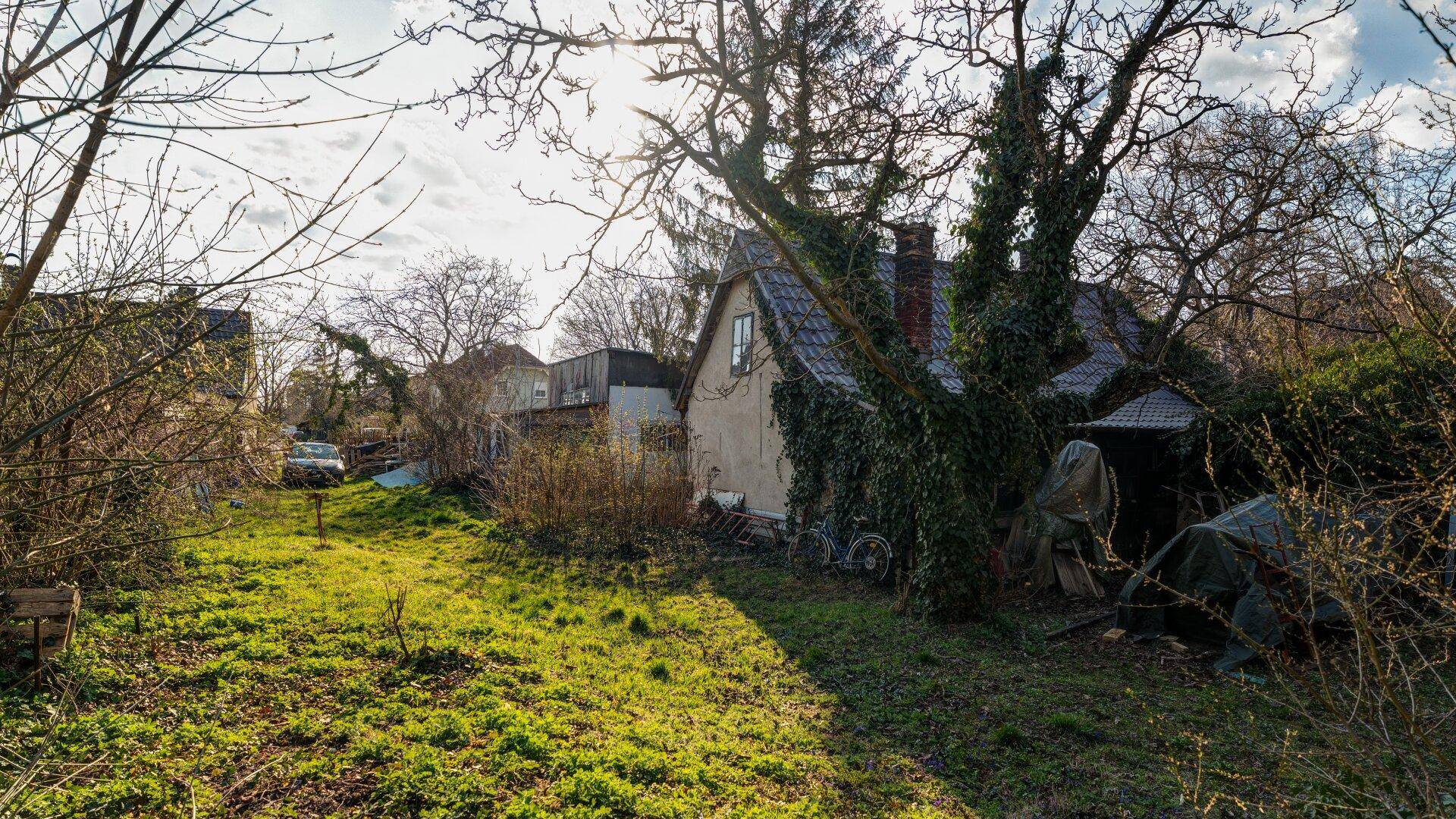 Blick in den verwilderten Garten mit dem von Efeu bewachsenen Haus und alten Bäumen.