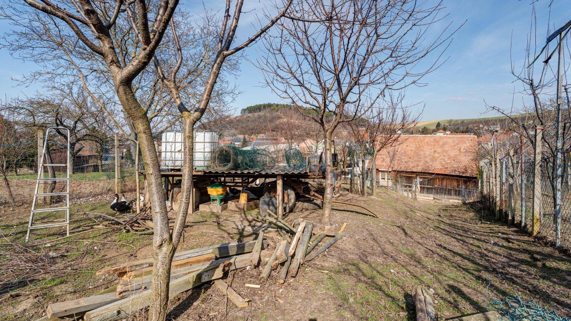 Gartenbereich mit Obstbäumen, Leiter und Blick auf die ländliche Umgebung.