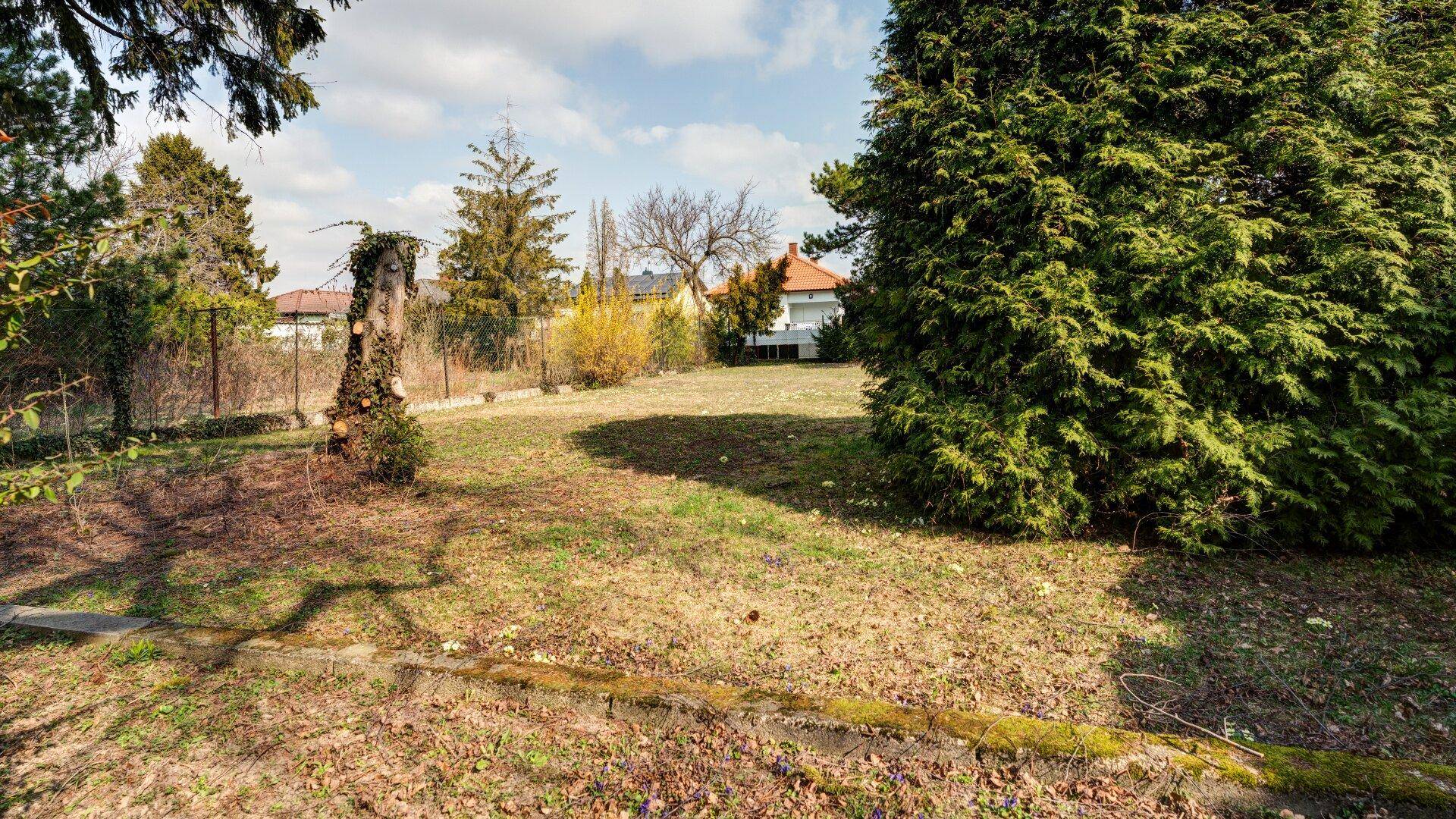 Großer, ungestalteter Gartenbereich mit Bäumen und viel Potenzial zur Gestaltung.