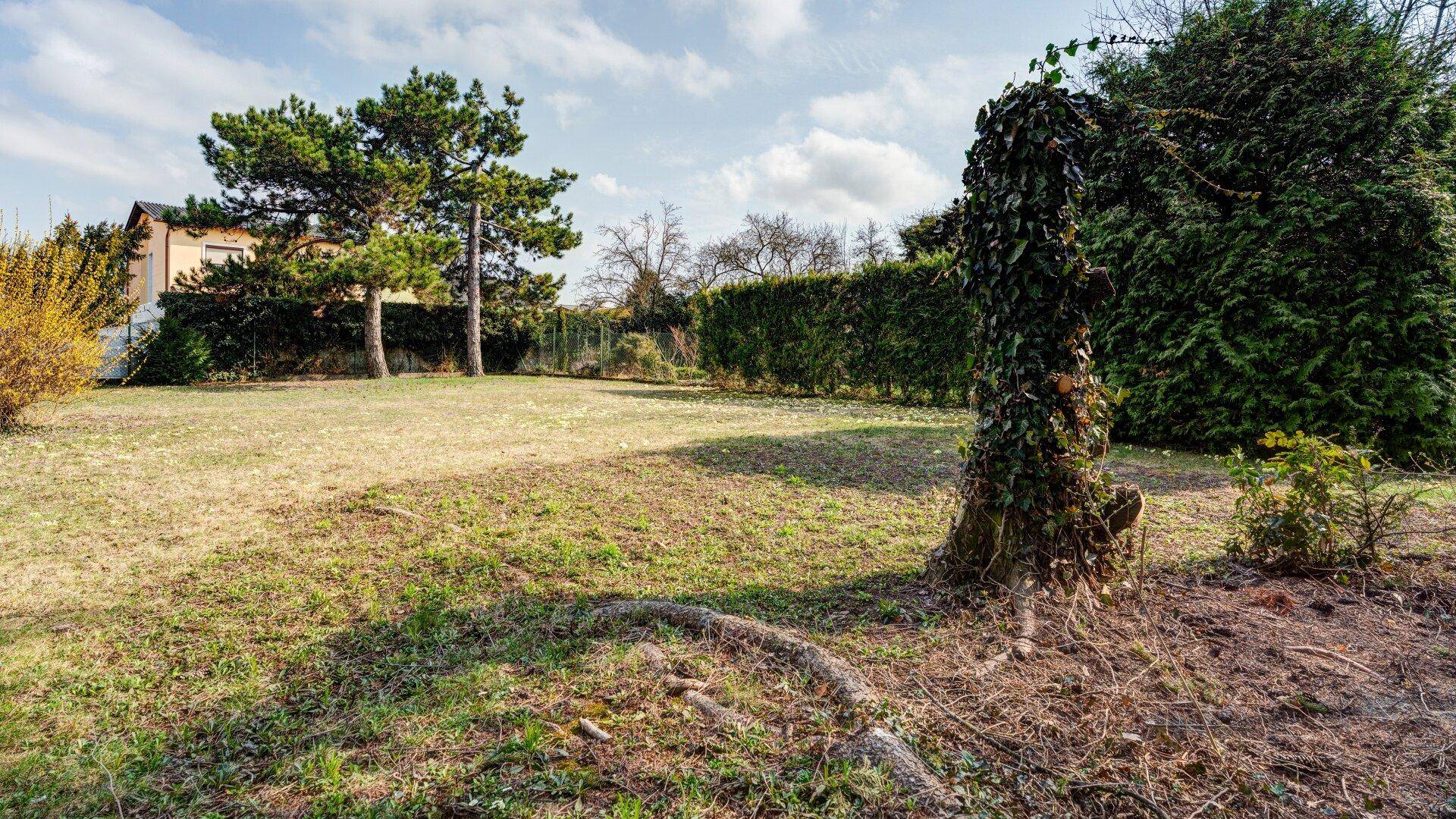 Weitläufiger Garten mit Rasenfläche, Hecke und verschiedenen Bäumen unter blauem Himmel.