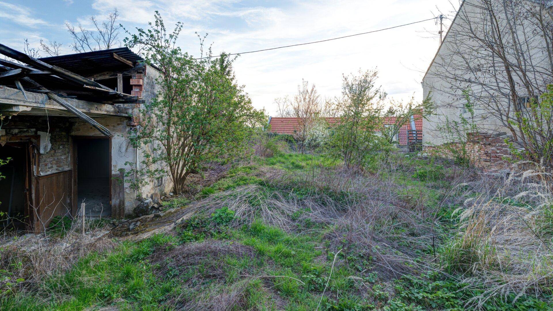 Verwildertes Gartengrundstück mit baufälligem Gebäude und angrenzender Hauswand unter blauem Himmel.