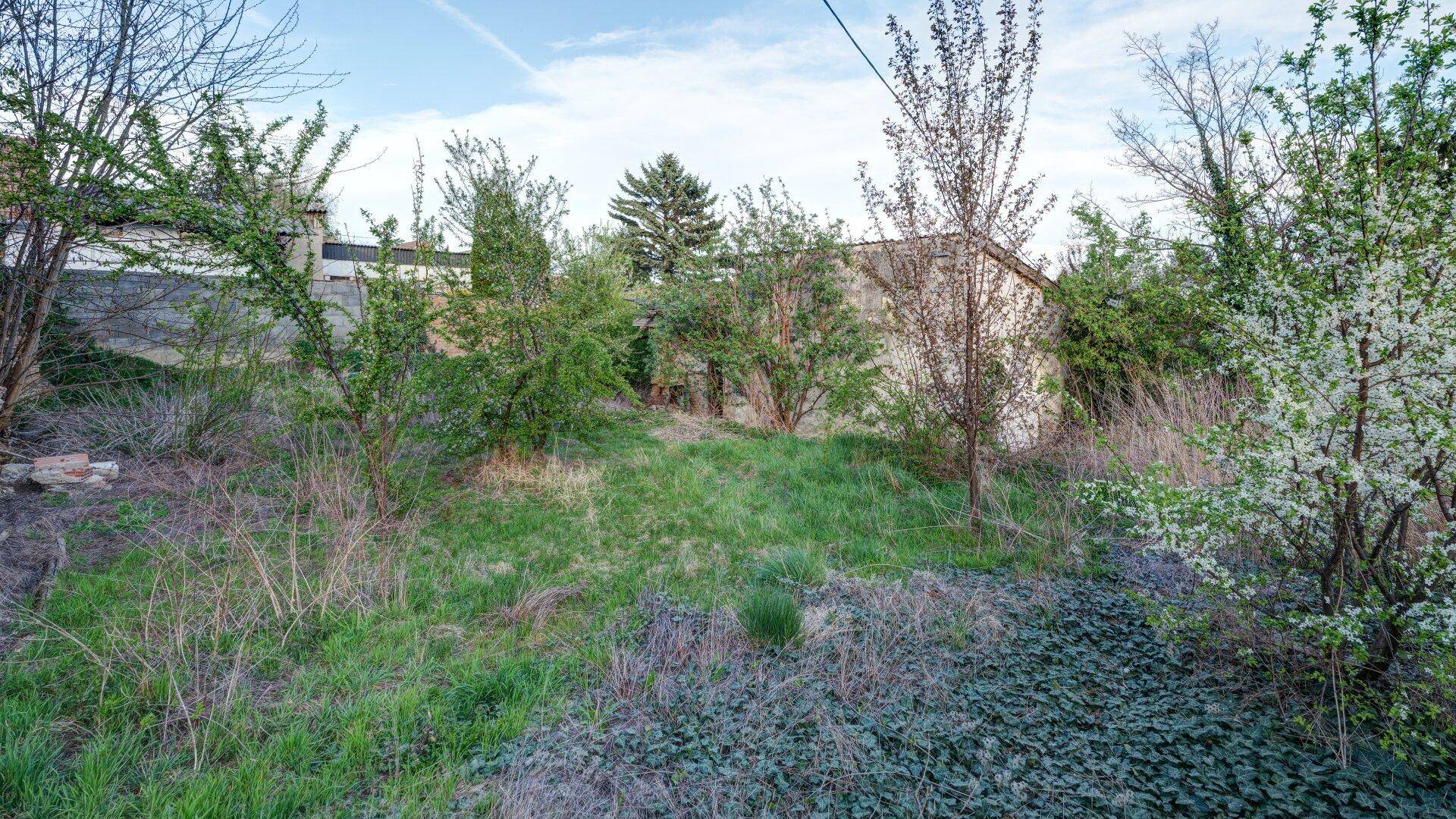 Blick über das verwilderte Gartengrundstück mit dichter Vegetation und angrenzenden Gebäuden im Hintergrund.