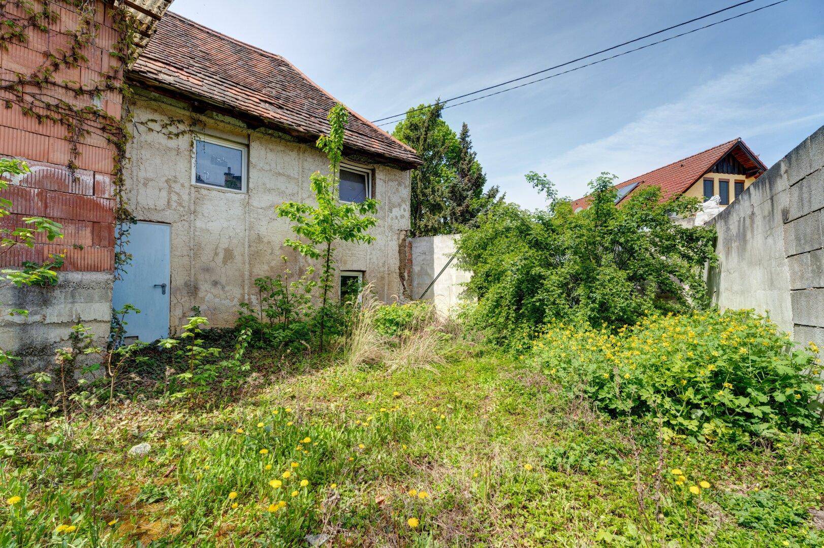 Hinterhof mit verwildertem Gartenbereich, hohen Gräsern und Blick auf die Rückseite des Hauses.