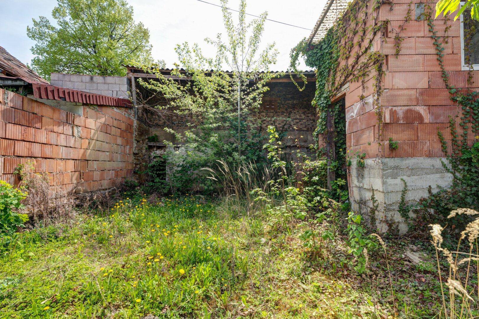 Verwilderter Gartenbereich mit üppiger Vegetation und alten Ziegelmauern, die auf Sanierungsbedarf hinweisen.