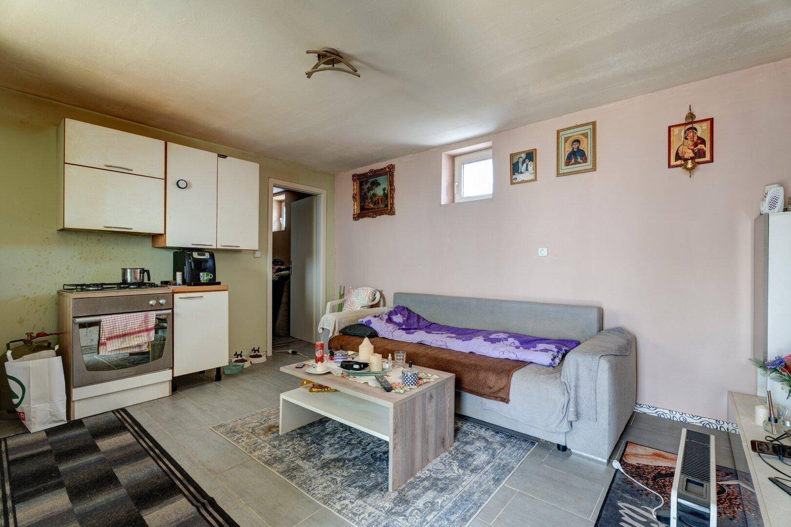 Kombinierter Wohn- und Essbereich mit kleiner Küchenzeile und Sofa.