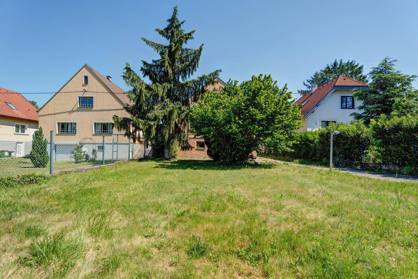 Großer, sonniger Gartenbereich mit Rasenfläche, hohen Bäumen und Hecken, umgeben von Nachbarhäusern.