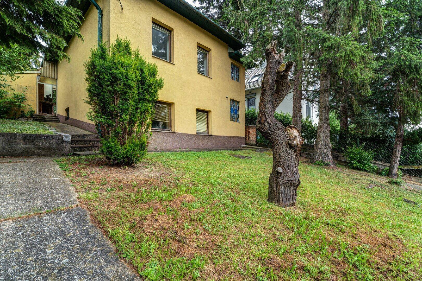 Seitenansicht des Hauses mit gelber Fassade, grünem Rasen und altem Baumbestand.