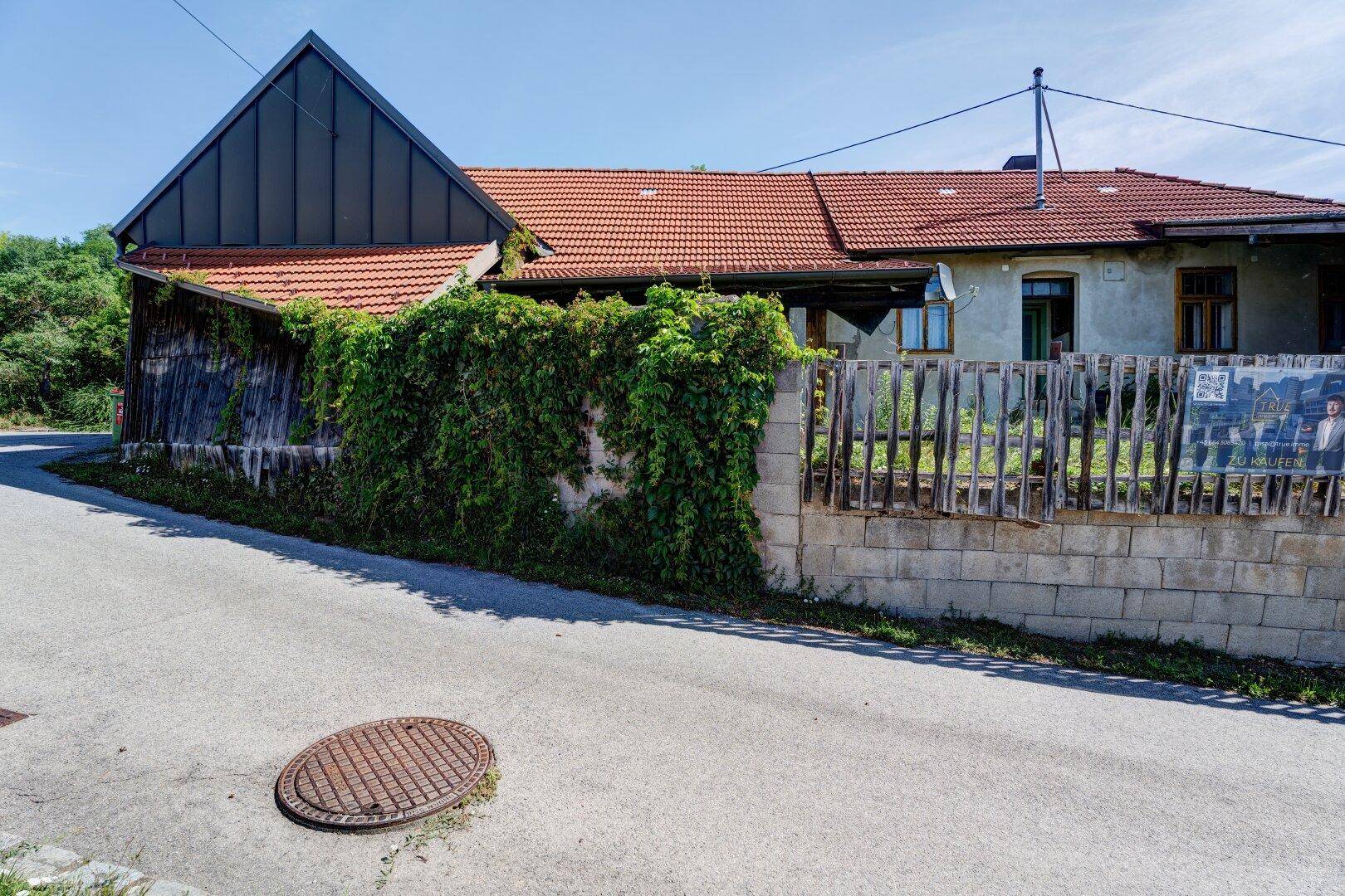 Ansicht des Hauses von der Straße mit einem Holzzaun, der mit Efeu bewachsen ist.