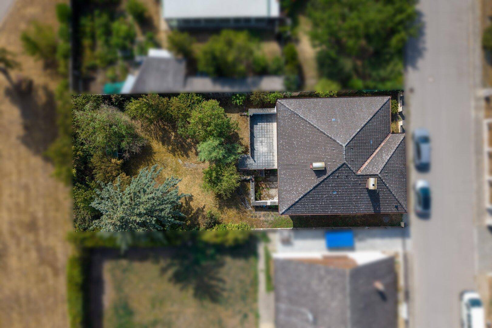 Direkte Draufsicht auf das Haus mit Garten, Terrasse und umliegenden Bäumen.