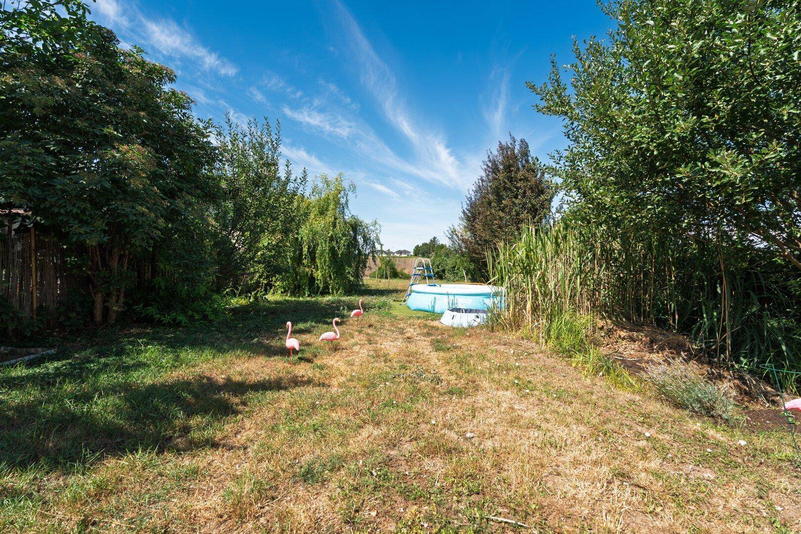 Großer Gartenbereich mit Rasen, einem Aufstellpool und dekorativen Flamingos unter blauem Himmel.