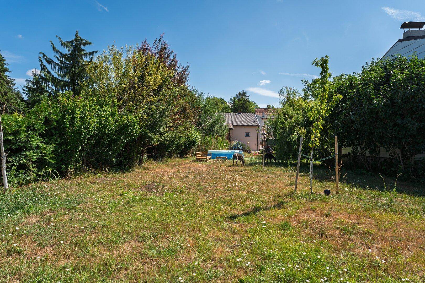 Weitläufiger Garten mit Rasenfläche, jungen Bäumen und einem kleinen Pool im Hintergrund.