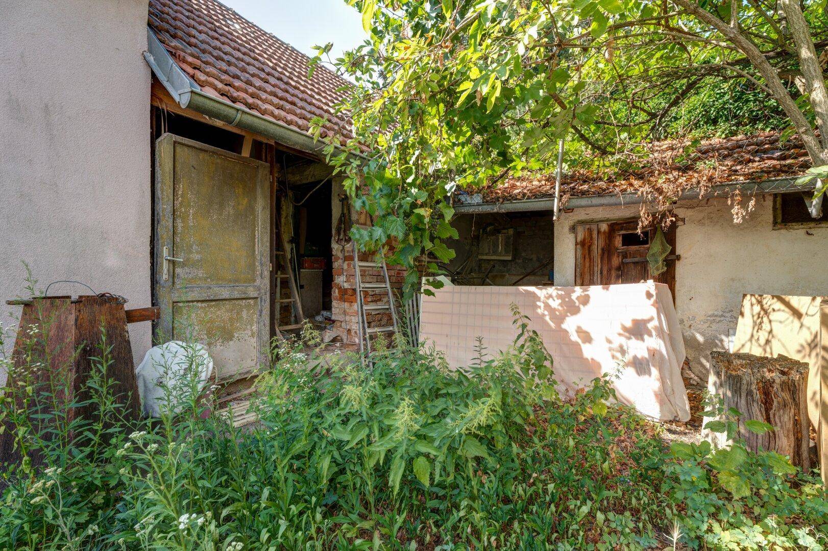 Verfallenes Nebengebäude oder Schuppen im Garten, umgeben von üppiger Vegetation.