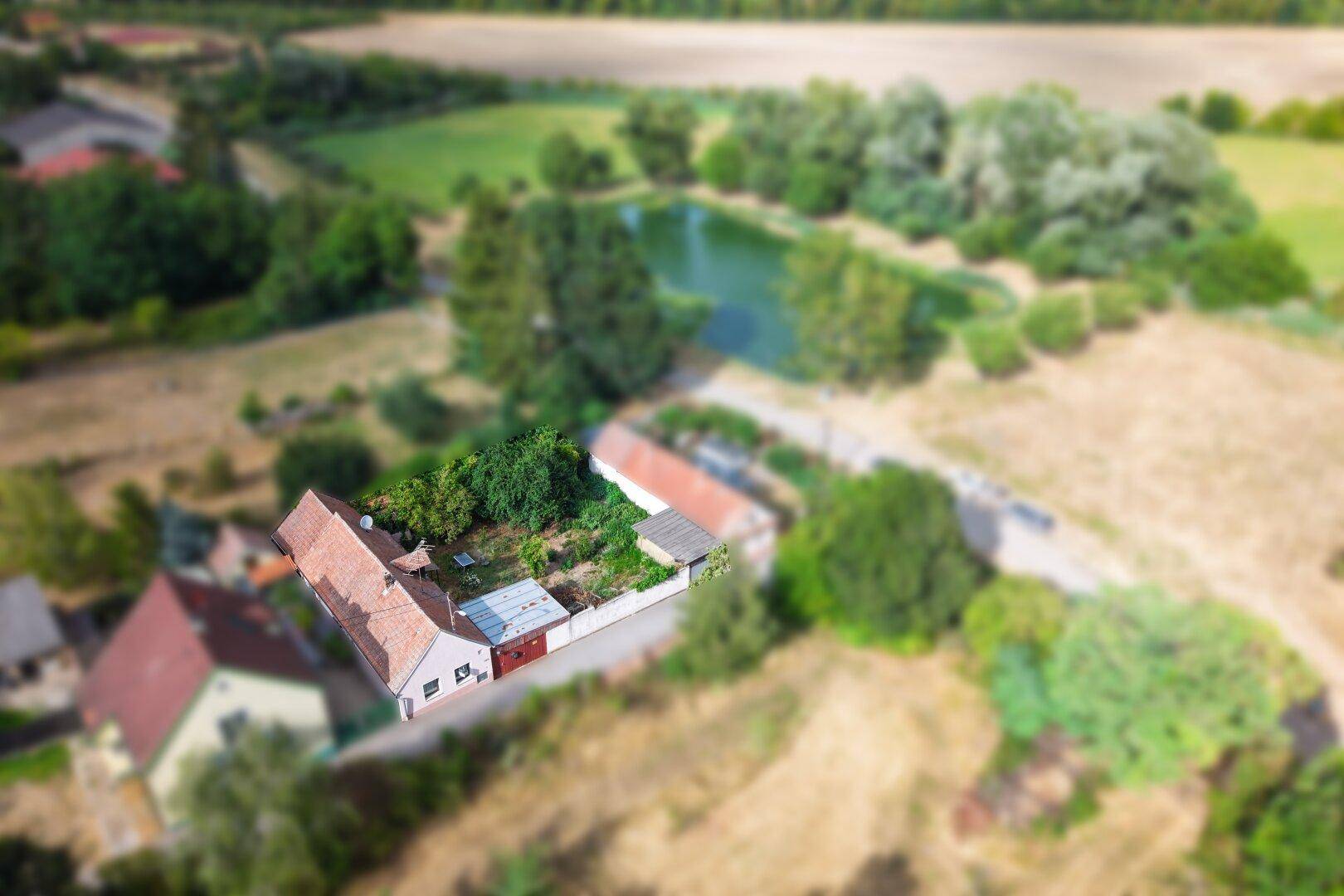 Vogelperspektive des Grundstücks, die den Teich und die grüne Landschaft hervorhebt.