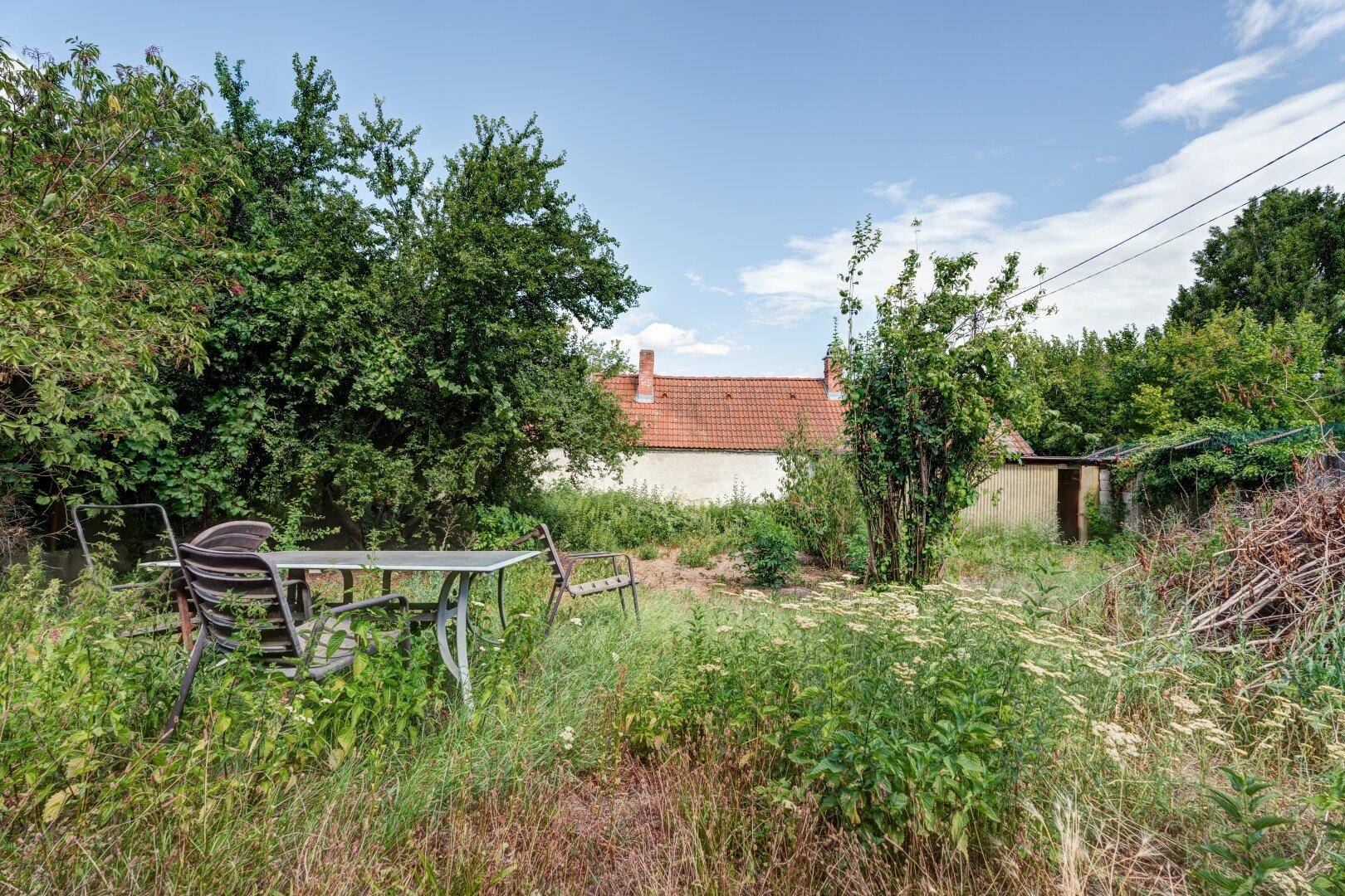 Verwilderter Garten mit einer alten Sitzgruppe und Blick auf ein weiteres Gebäude im Hintergrund.