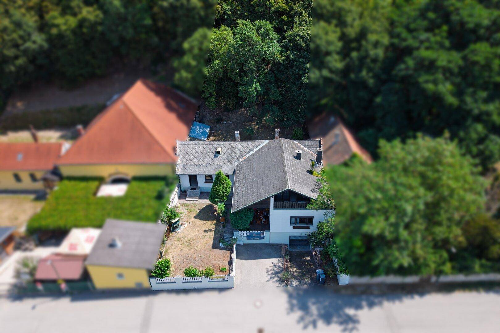 Vogelperspektive des Hauses mit Garten und Zufahrt, umgeben von viel Grün und Bäumen.