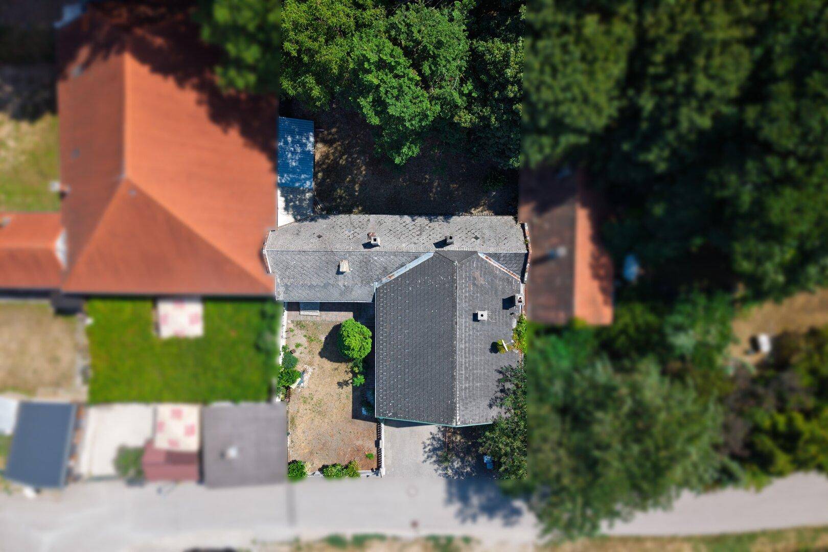Direkte Draufsicht auf das Haus und das Dach, umgeben von dichtem Baumbestand.