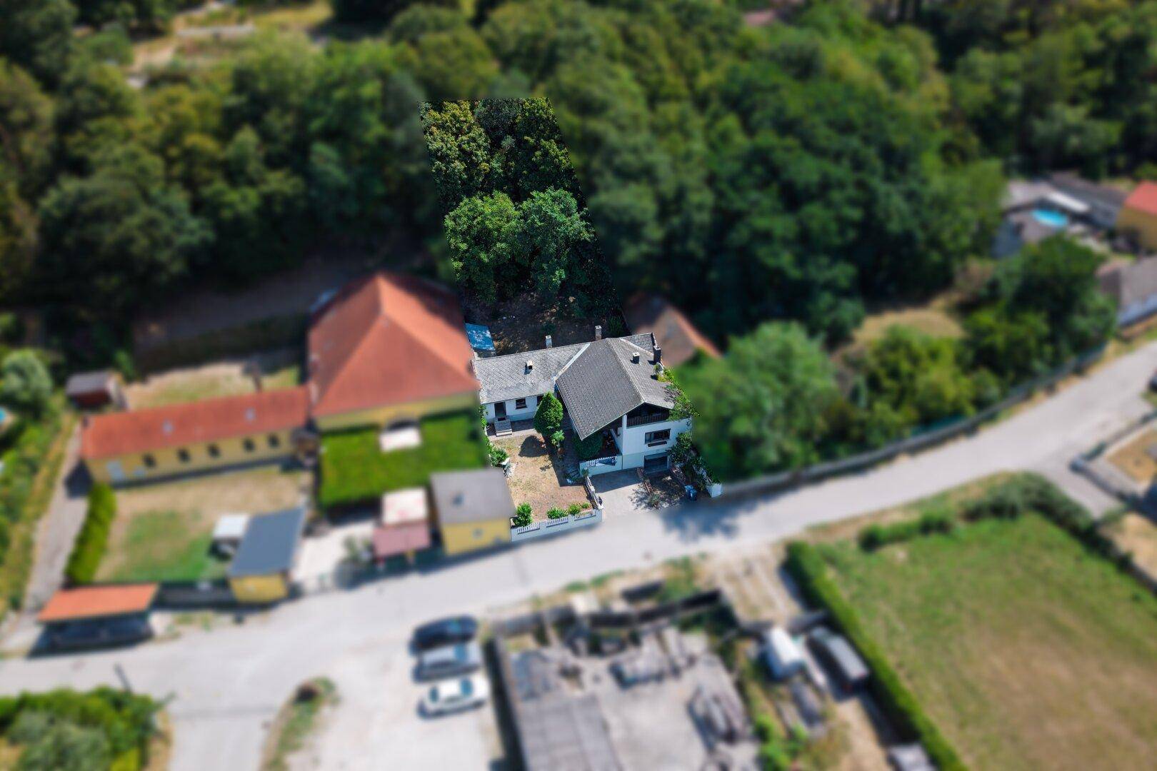 Luftaufnahme eines Hauses mit umliegenden Bäumen und Nachbargebäuden, bietet Überblick über das Grundstück.