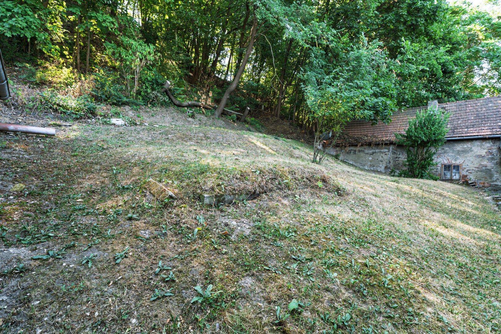 Hanglage im Gartenbereich mit Gras und Bäumen, angrenzend an ein Nebengebäude.