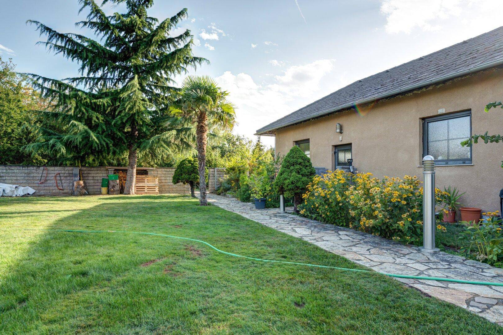 Seitenansicht des Hauses mit Rasenfläche, Steinweg und blühenden Sträuchern im Sonnenschein.