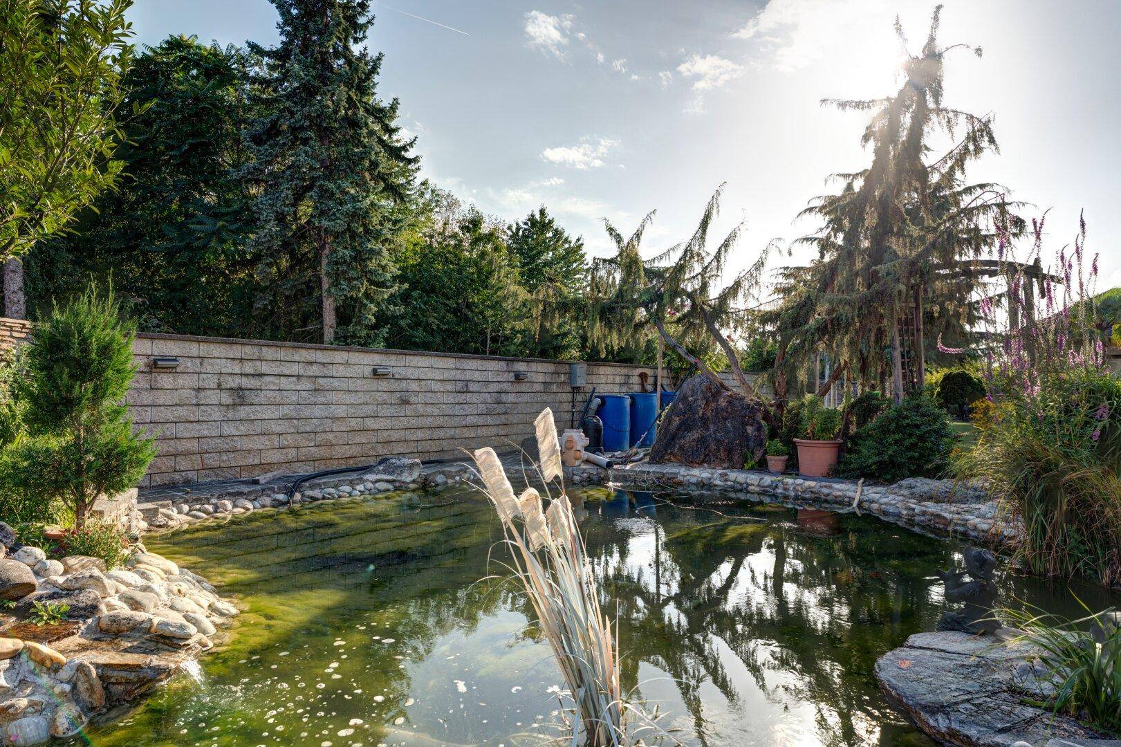 Naturnaher Gartenteich umgeben von Bäumen und Sträuchern unter strahlendem Sonnenschein.