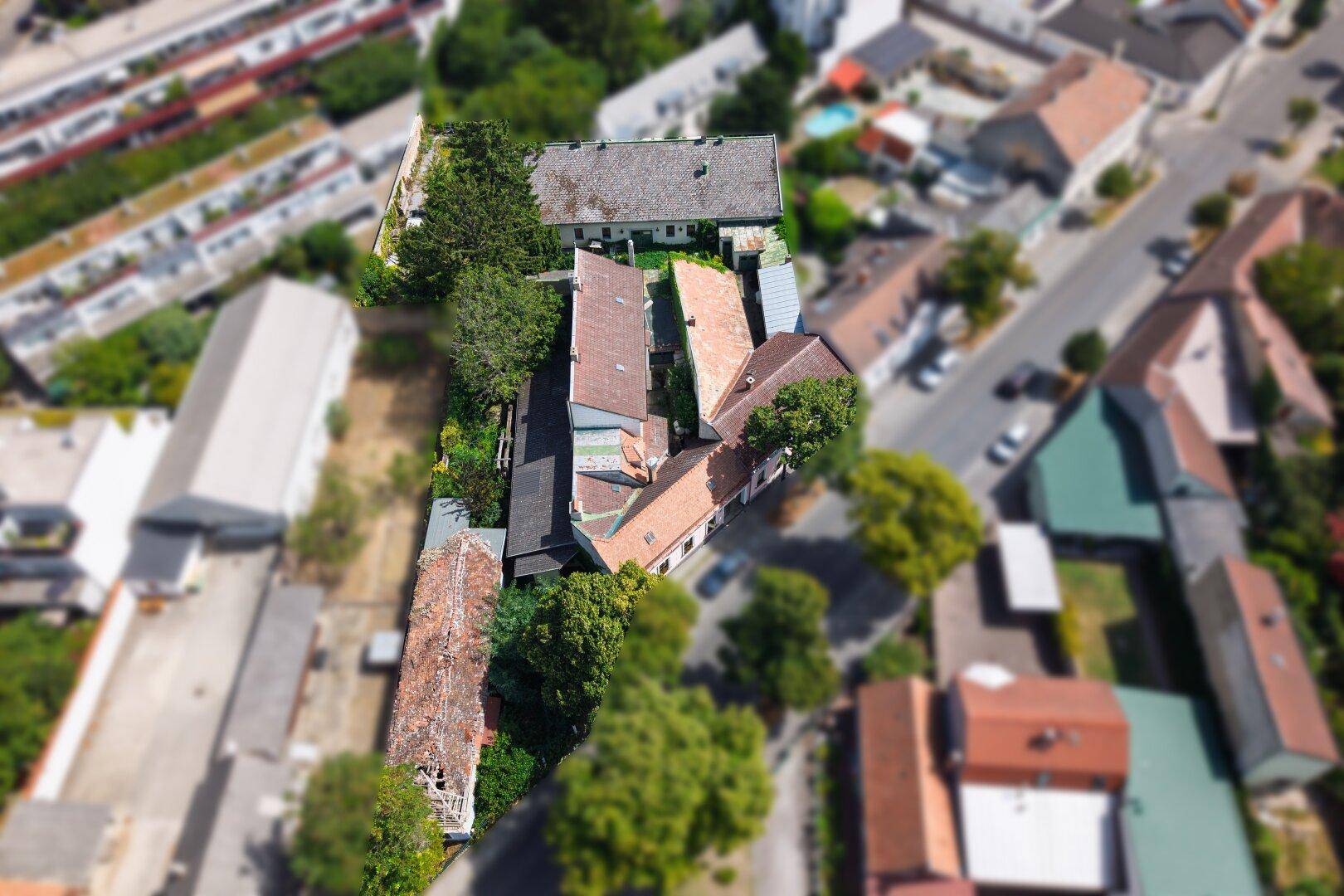 Weitläufige Luftansicht des Grundstücks und der angrenzenden Bebauung mit viel Baumbestand.