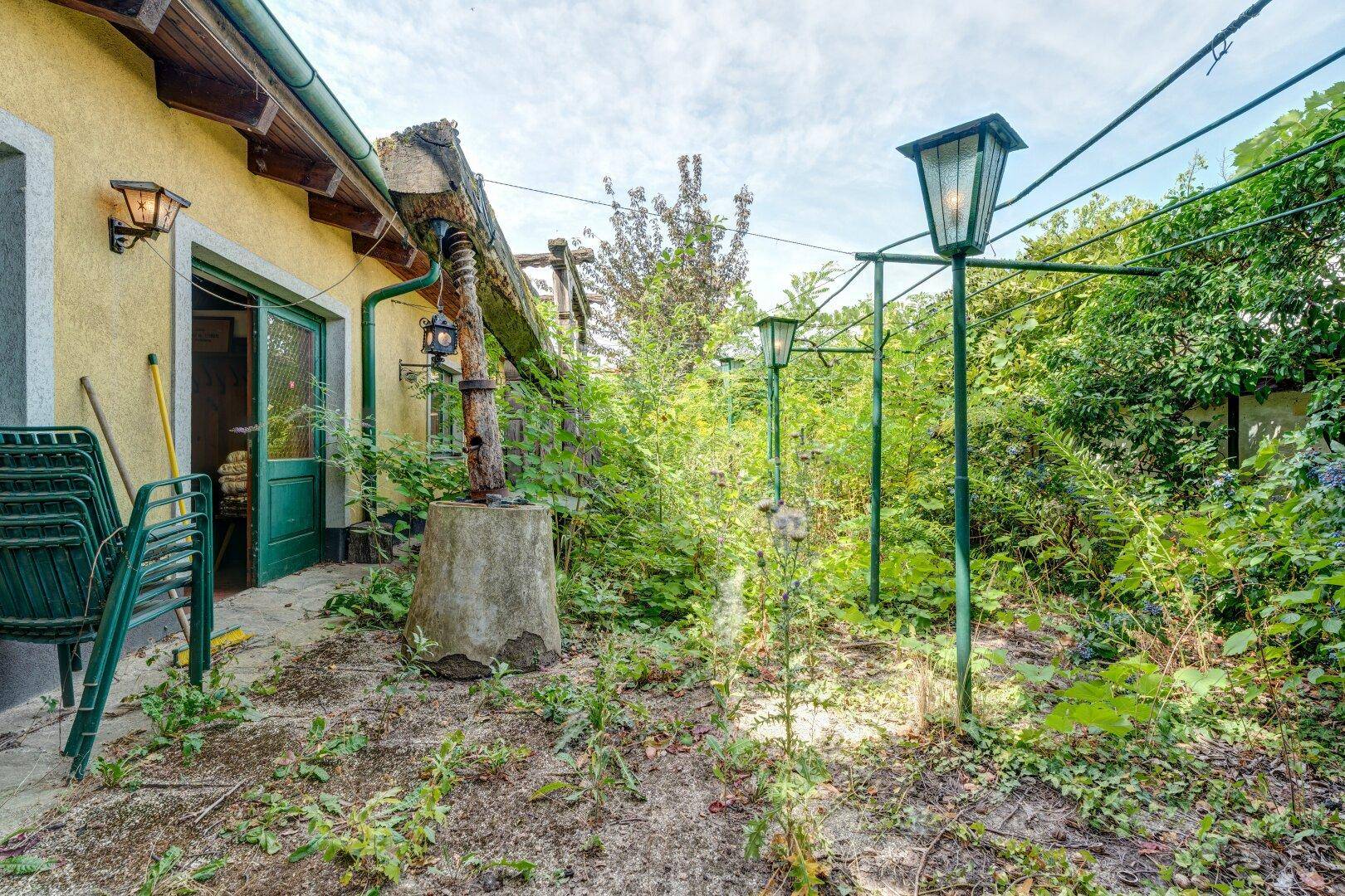 Verwilderter Gartenbereich mit alten Laternen, Pflanzen und einer gelben Hauswand im Hintergrund.