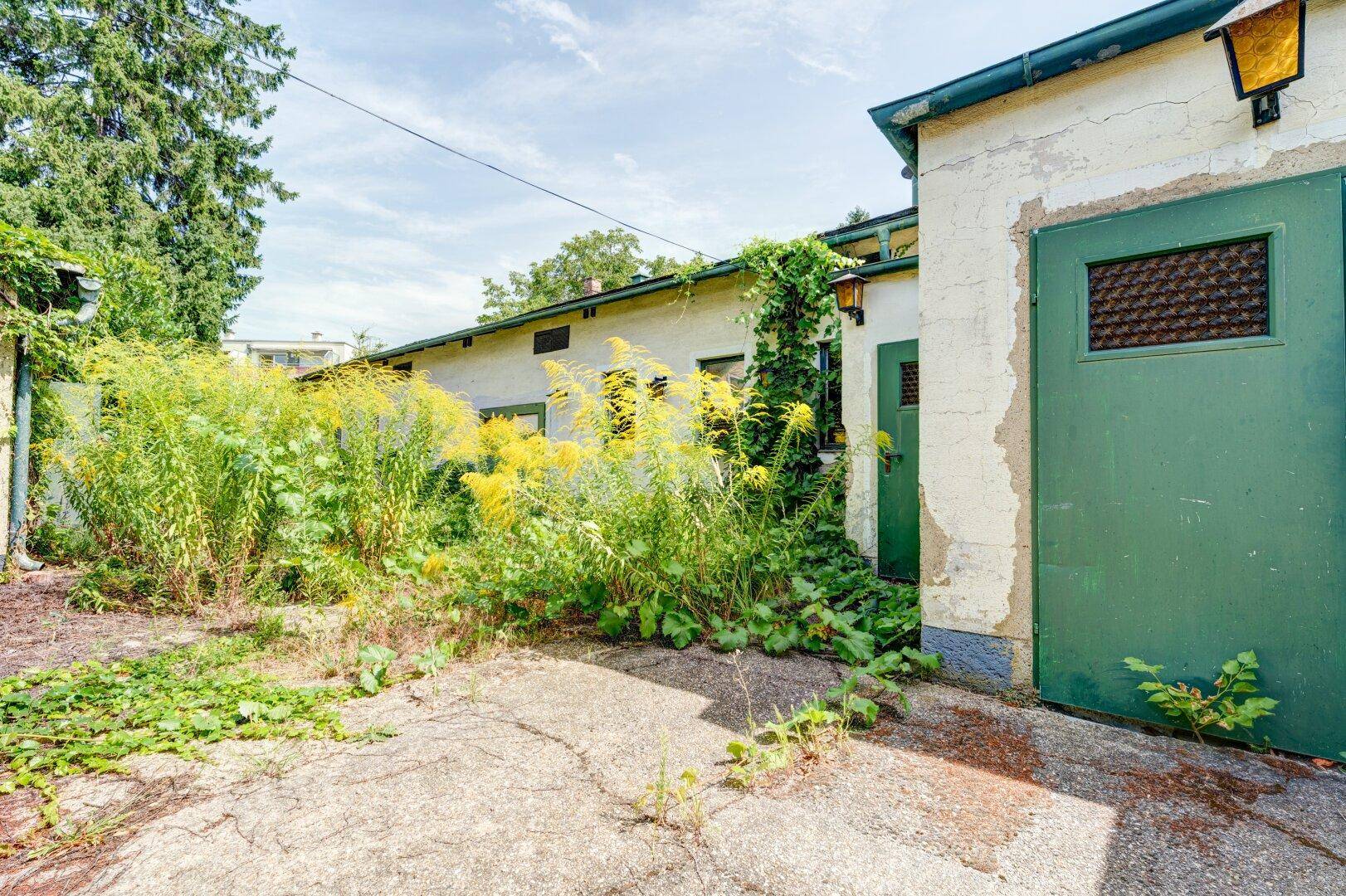 Verwilderter Gartenbereich mit hohen Gräsern und einem Nebengebäude mit grünen Türen.