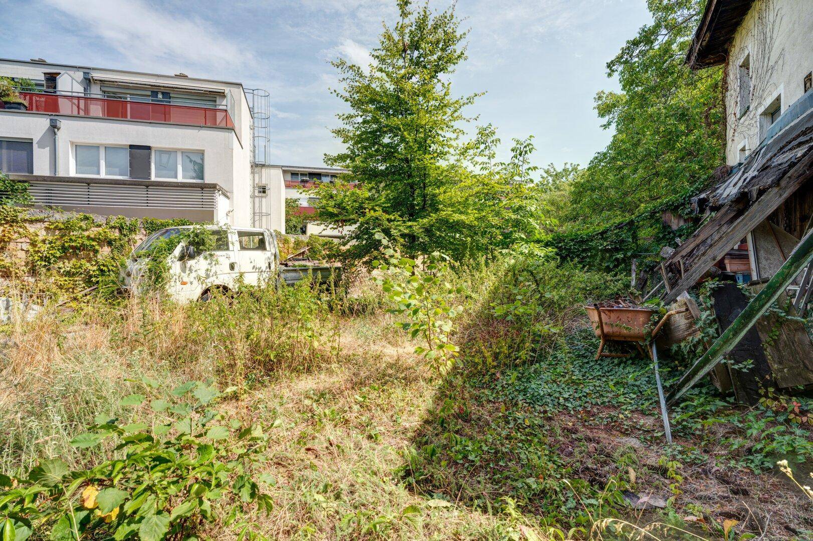 Großer, verwilderter Garten mit altem Baumbestand und einem verrosteten Karren.