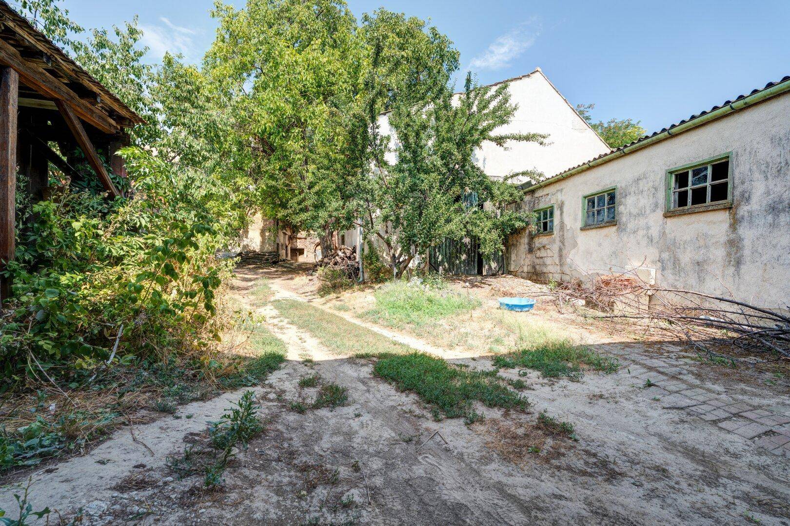 Ungepflegter Gartenbereich mit viel Grün, Bäumen und einem alten Gebäude im Hintergrund, das Potenzial bietet.