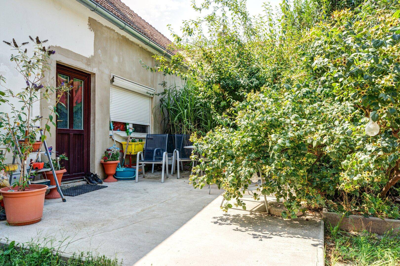 Sonniger Terrassenbereich mit Gartenmöbeln, umgeben von üppigem Grün und Sträuchern, ideal zum Entspannen.